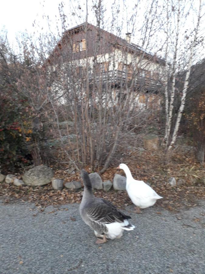 Petit Appartement En Montagne Saint-Julien-en-Champsaur Exterior foto